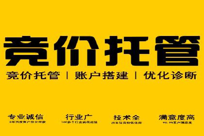 信息流平台案例研究：社交网络效应分析